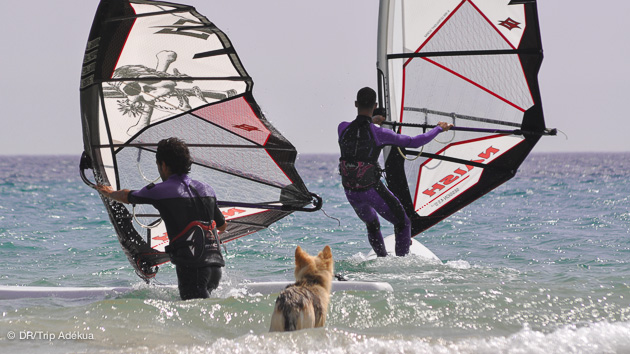 progressez en planche à voile à Bolonia près de Tarifa