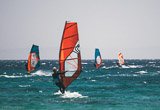 Avis séjour windsurf à Bolonia en Espagne