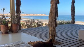 Avis vacances au Maroc entre windsurf et découverte