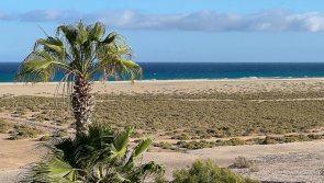 Avis vacances windsurf sur l'île de Fuerteventura aux Canaries