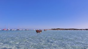 Avis séjour en Corse pour pratiquer du windsurf