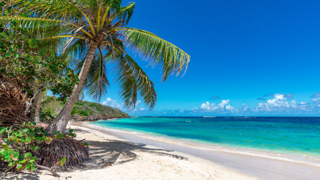 Naviguez sur des spots paradisiaques des Antilles à Antigua et Barbuda