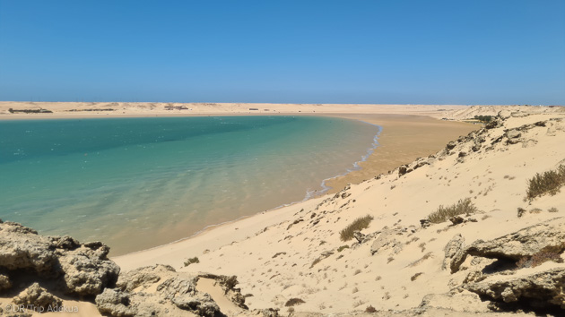 Un séjour entre windsurf et désert à Dakhla au Maroc
