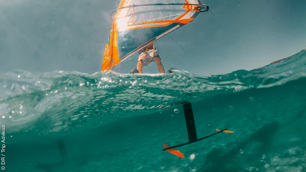 apprendre le windfoil