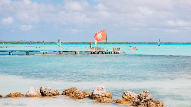 Découvrez Bonaire pendant votre séjour windsurf dans les Caraïbes