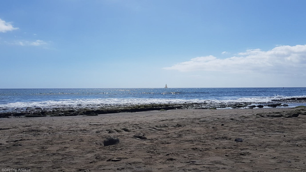 Découvrez l'île de Tenerife entre deux sessions de windsurf